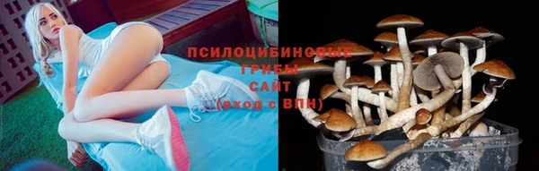 spice Абаза