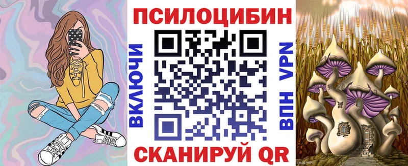 Псилоцибиновые грибы Cubensis  магазин  наркотиков  Берёзовка 